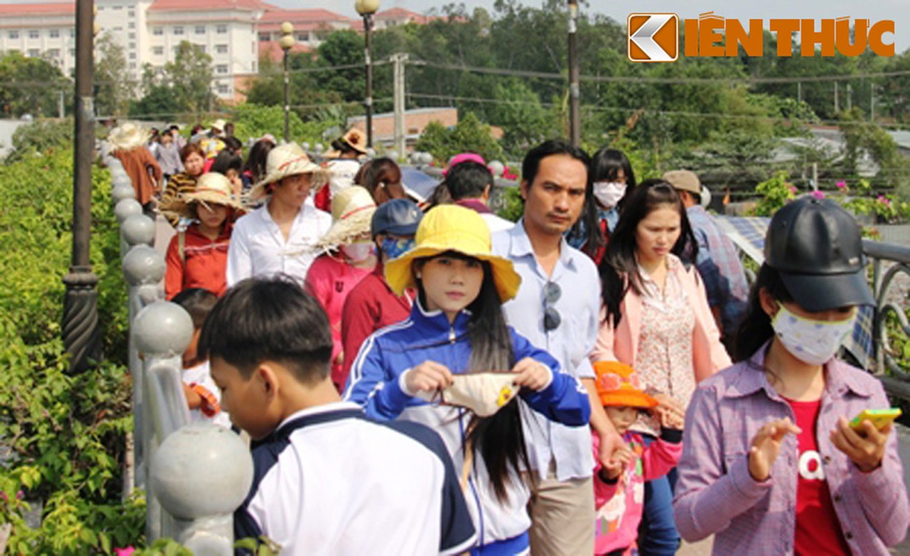 Mung ba Tet: Chen nhau xem thu, doi nang dao duong hoa-Hinh-11